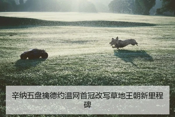 xin-na-wu-pan-qin-de-yue-wen-wang-shou-guan-gai-xie-cao-di-wang-chao-xin-li-cheng-bei-2-734.jpg